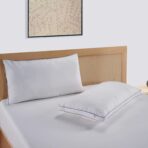 CloudSoft Luxury Bed Pillows (Set of 2)