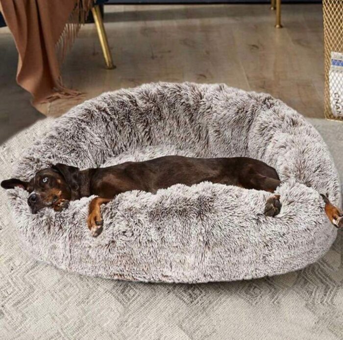 Cozy Nest Dog Bed with free Plush Toy - Image 1