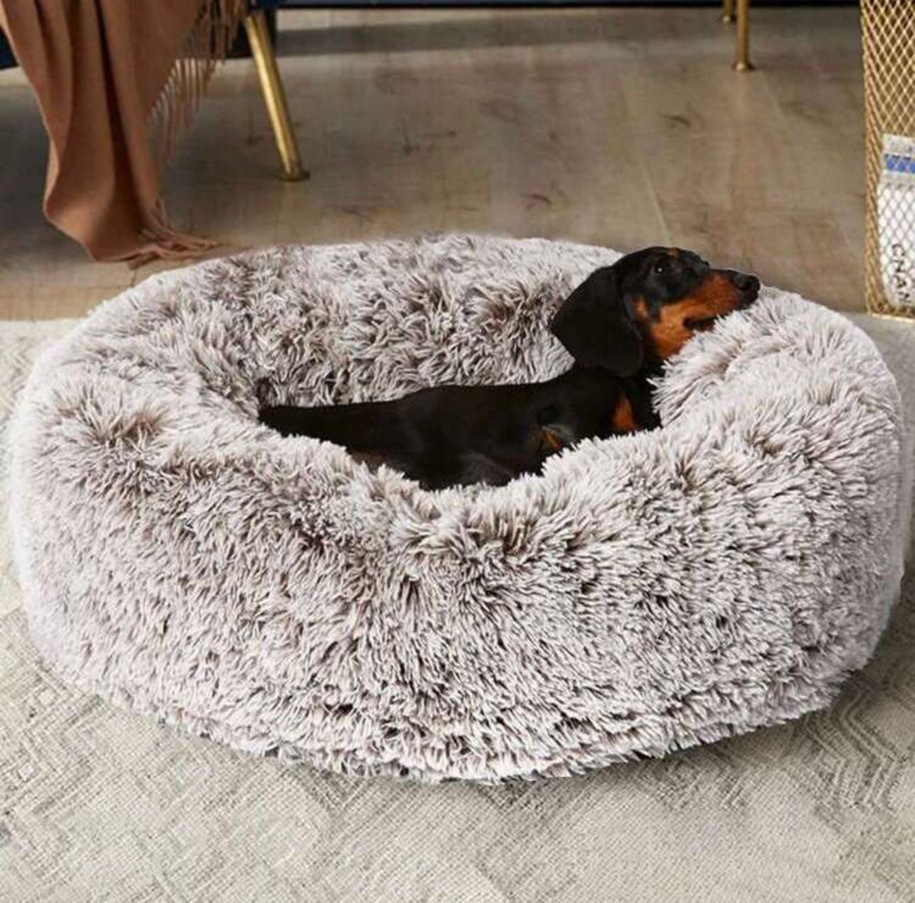 WhatsApp Image 2025-09-10 at 9.44.09 PM Cozy Nest Dog Bed with free Plush Toy - Image 5